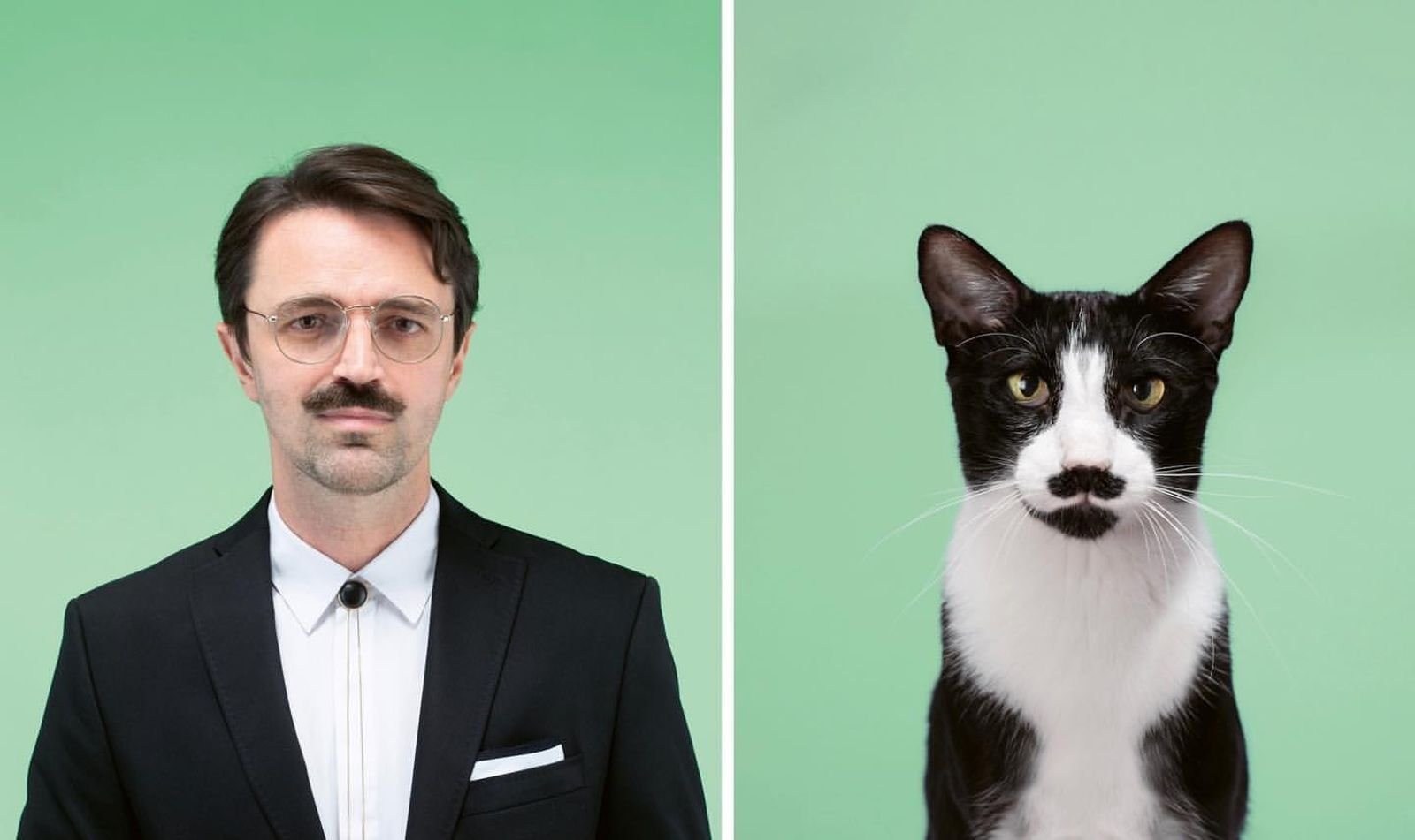 Домашние животные для квартиры. Хозяева сколько их. Животные похожие на хозяев. Гедеон буркхард комиссар рекс. Хозяева сколько их.