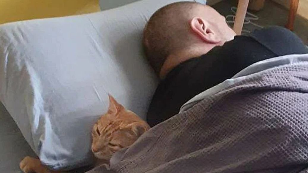 История о том, как у одной семьи кот пропадал ночами и потом они выяснили, что он все это время живёт на две семьи