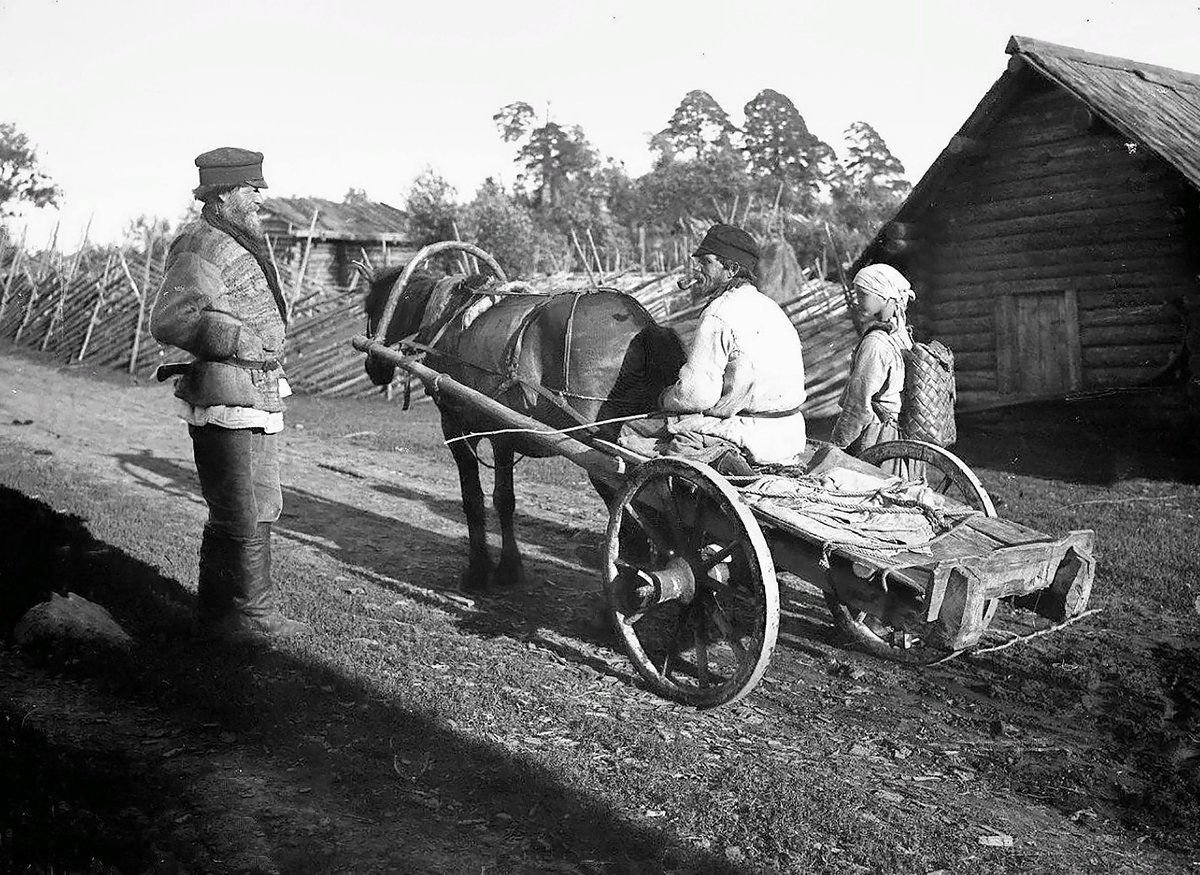 970 лет назад. Фотограф Беликов Александр Антонович 1883 1941. Карелы Олонецкого уезда. Хозяйство Карелов. Карелы Олонецкой губернии.