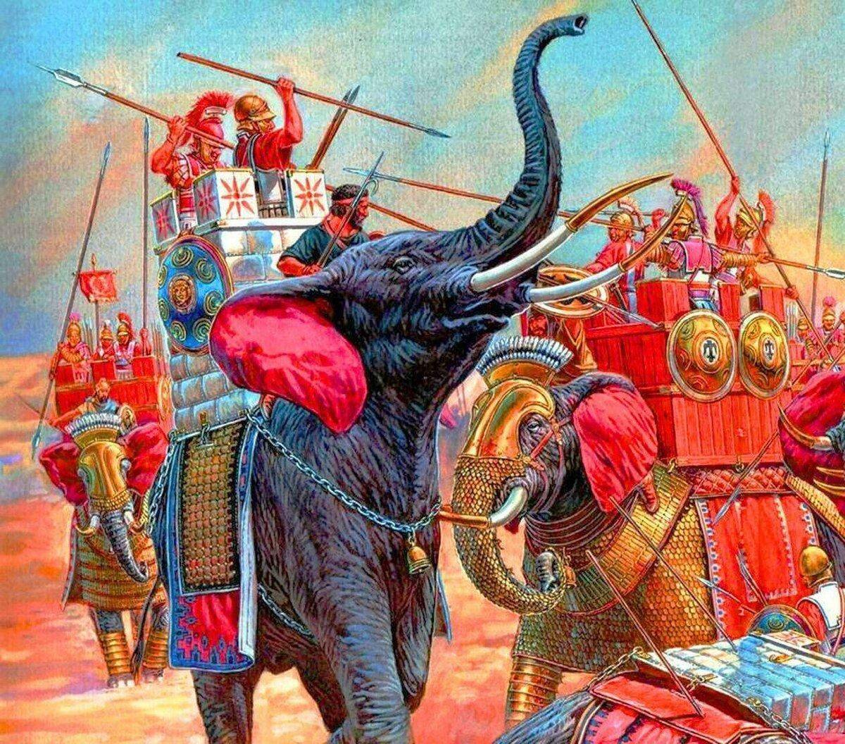 Punic War Elefant