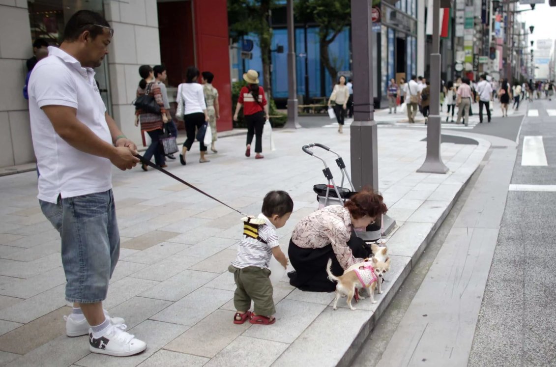 Китайские детские штаны с дыркой. Младенец на прогулке в китае. Поводок для ребенка детский. Кукла на прогулке картинки. Младенец на прогулке в китае.