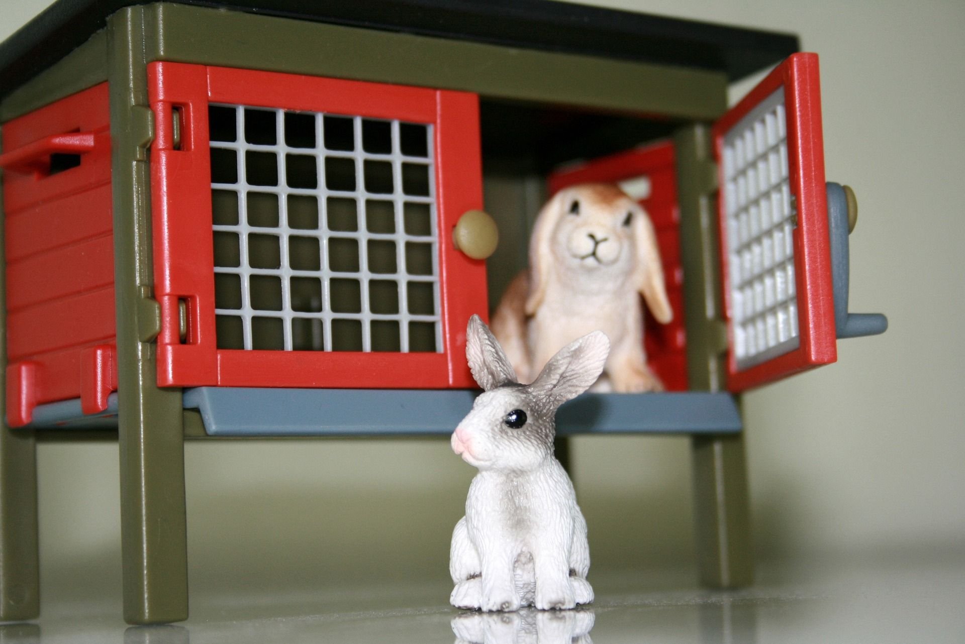 Office krolik. Клетка для кроликов. Игрушки для кролика в клетку. Игрушка кролик. Клетка для зайца.