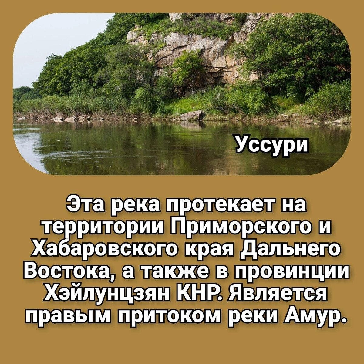 Крупные реки дальнего Востока. Амур батюшка река. Реки дальнего Востока список. Притоки Амура.