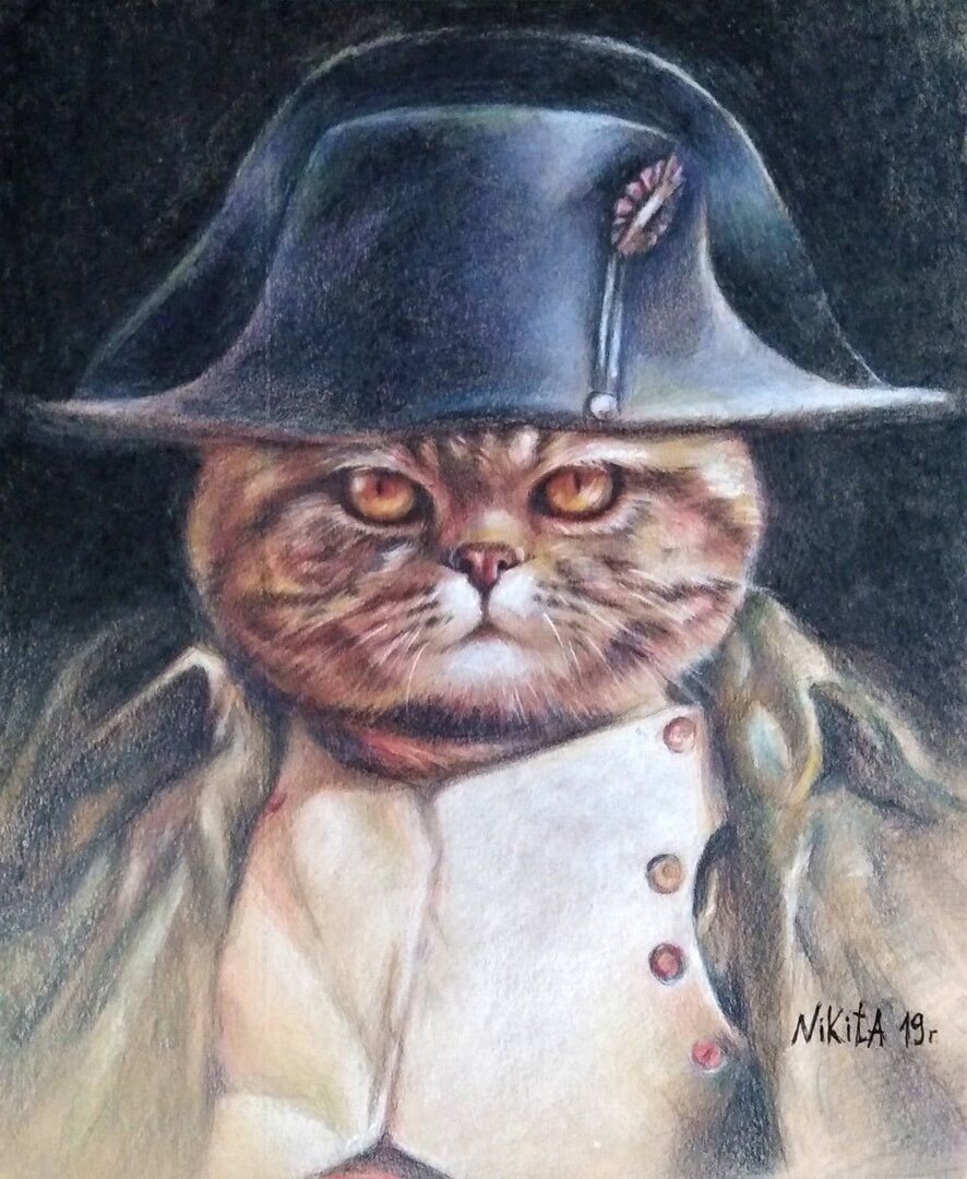 Кот никита
