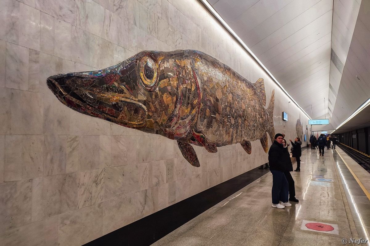 рыбы на станции нагатинский затон. нагатинский затон кто кроме рыб. нагатинский затон станция метро рыбы. рыбы на станции нагатинский затон. станция нагатинский затон бкл.