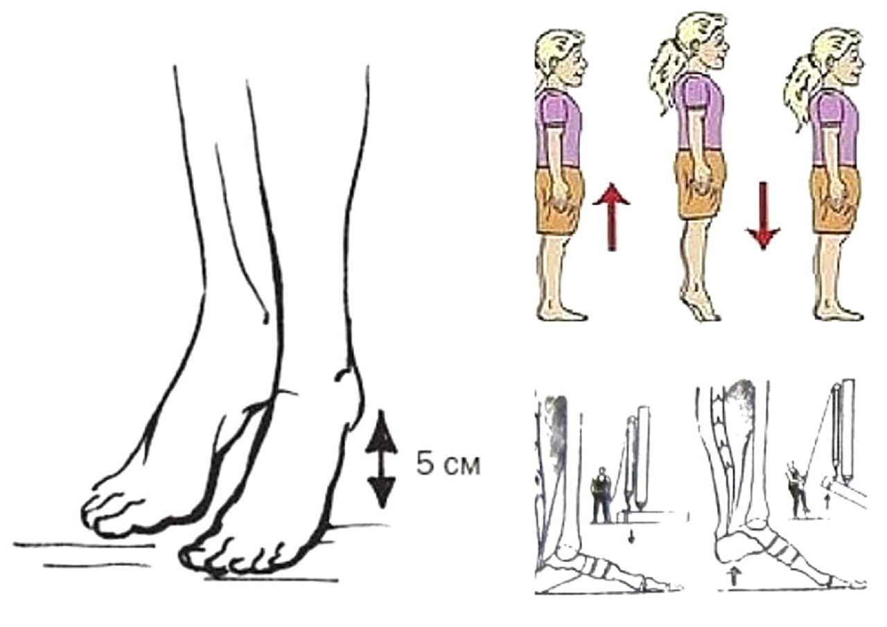 Перекаты с пятки на носок картинка