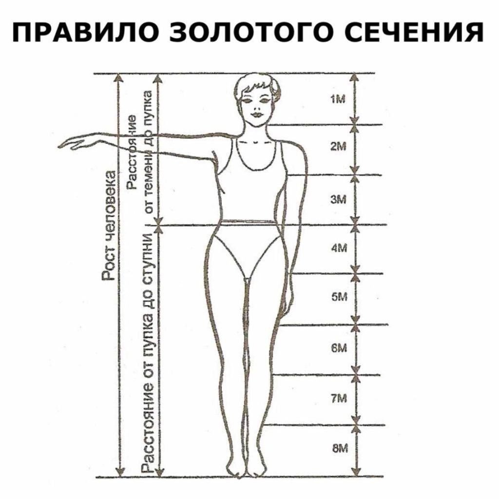 золотая пропорция в мебели