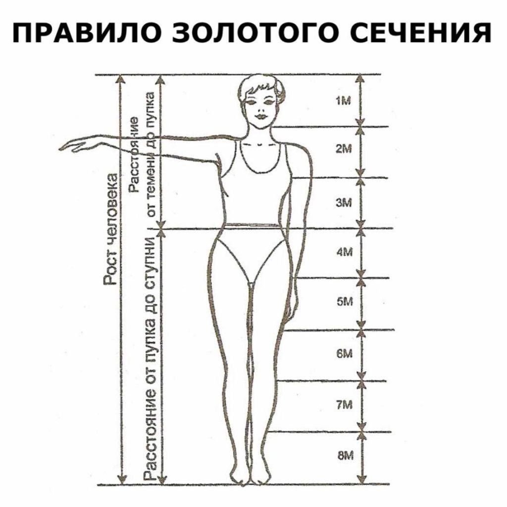 Длина ног. Идеальные пропорции женского тела золотое сечение. Золотое сечение пропорция тела женщины. Золотое сечение человека пропорции. Пропорции фигуры женщины.