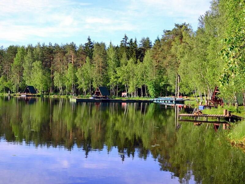 Платные водоемы. Озеро Монетка Ленинградская область. Озеро Монетка Ленинградская. Озеро Рыбацкое Ленинградская область. Озеро Золино Нижегородская область.