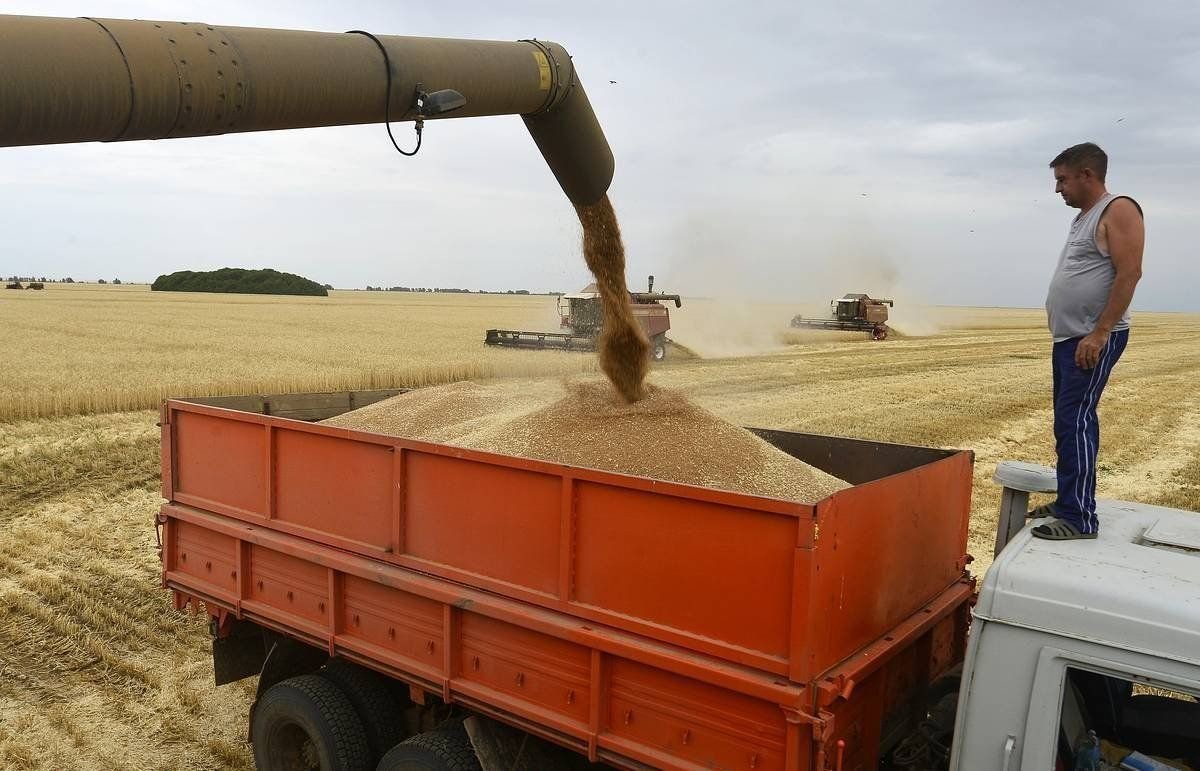 Выгрузили 7 10 зерна. Зернохранилище разгрузка зерна. Комбайн в поле. Комбайн клаас тукано 450 уборка кукурузы. Выгрузили 7 10 зерна.