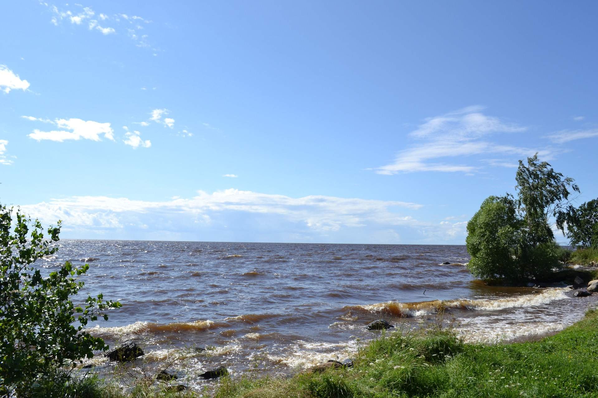 Берег рыбинского водохранилища