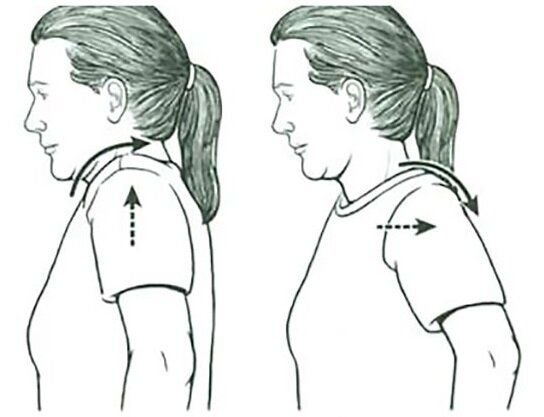 Гимнастика для шеи сидя на стуле