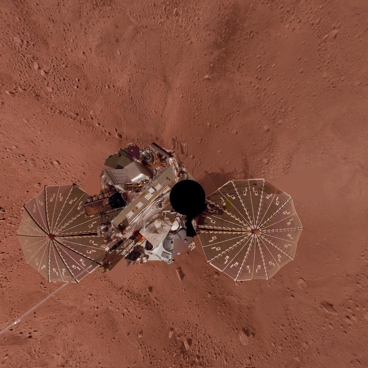 Марсианский зонд. Марсианский зонд Феникс. Аппарат Феникс Марс. Селфи марсохода Оппортьюнити. Аппарат НАСА Феникс на Марсе.