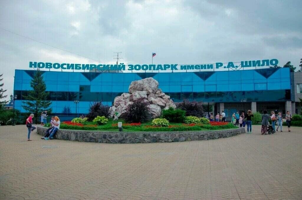 Новосибирский зоопарк картинки