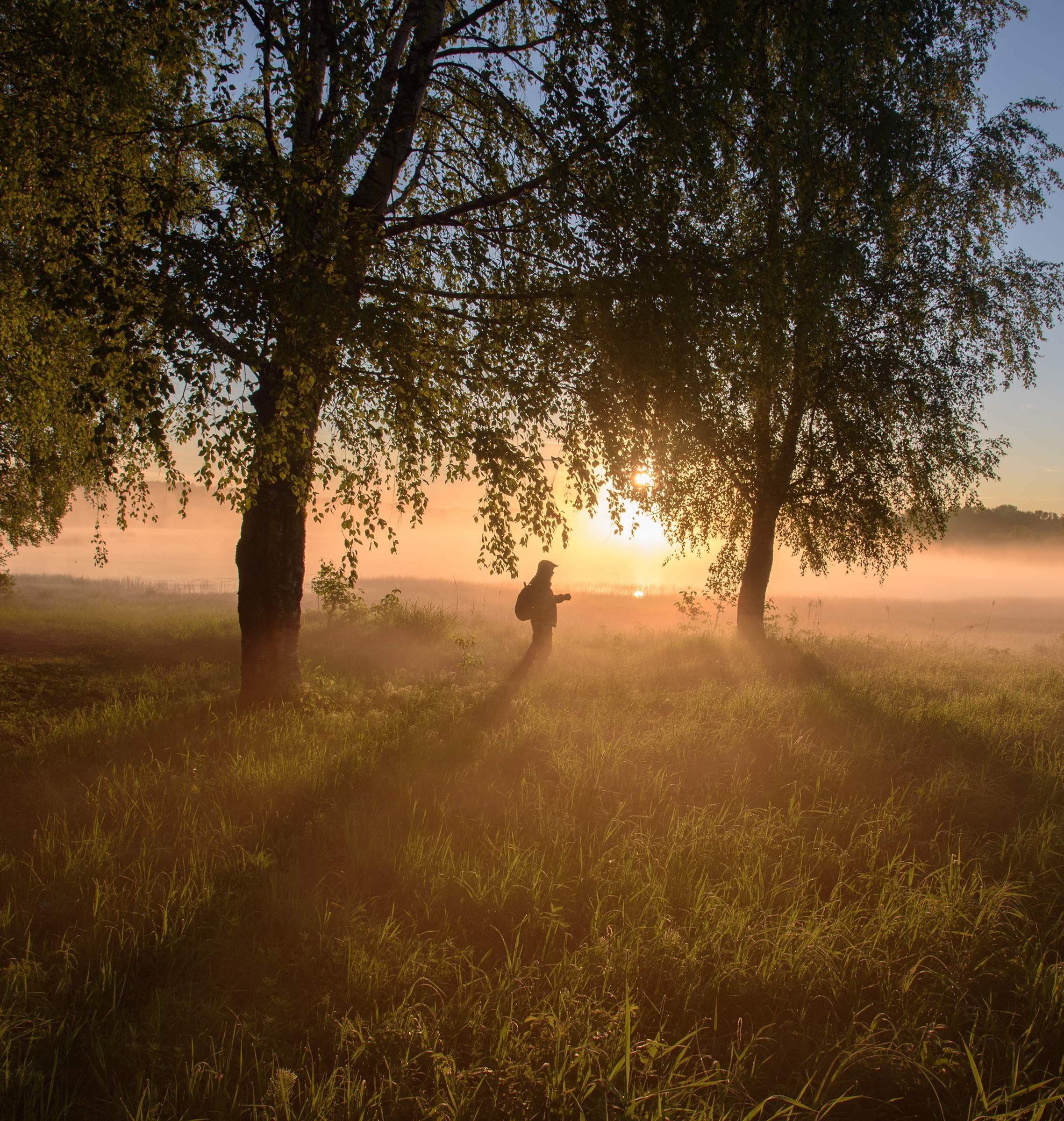 Раннее летнее утро в воздухе впр. Утренняя атмосфера фото. Люблю жизнь и фотографирую. Россия в объективе фото.