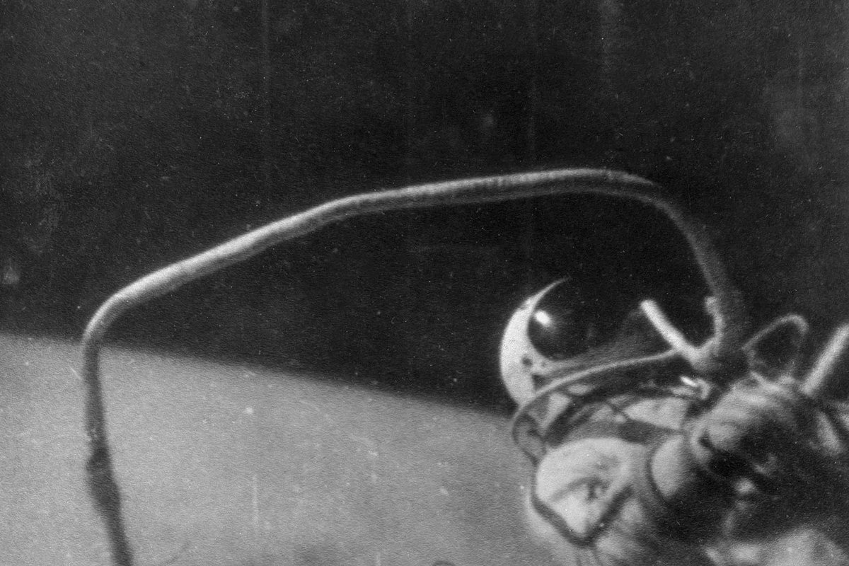 Первый выход человека в открытый космос ссср. Космонавт Леонов в открытом космосе. Выход Леонова в открытый космос.