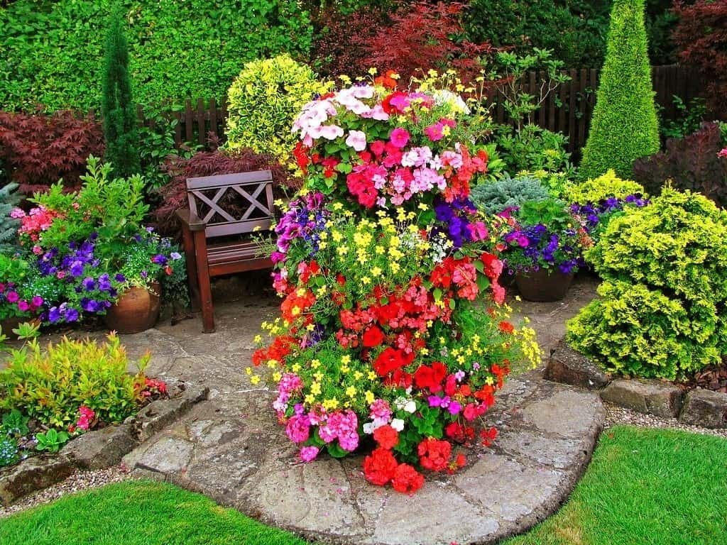 Варианты цветочных клумб на садовом участке фото