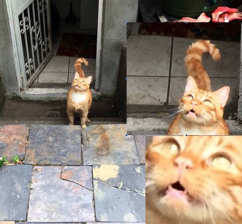 боязнь выходить на улицу из дома. агорафобия.