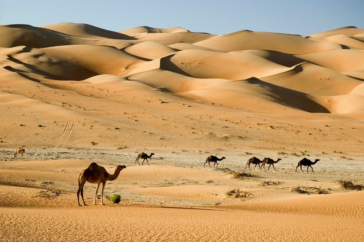 Арабский оазис. Парк пустыни Шарджи. Пустыня Аравийского полуострова. Пустыня руб-Эль-Хали. Аравийский полуостров природа.