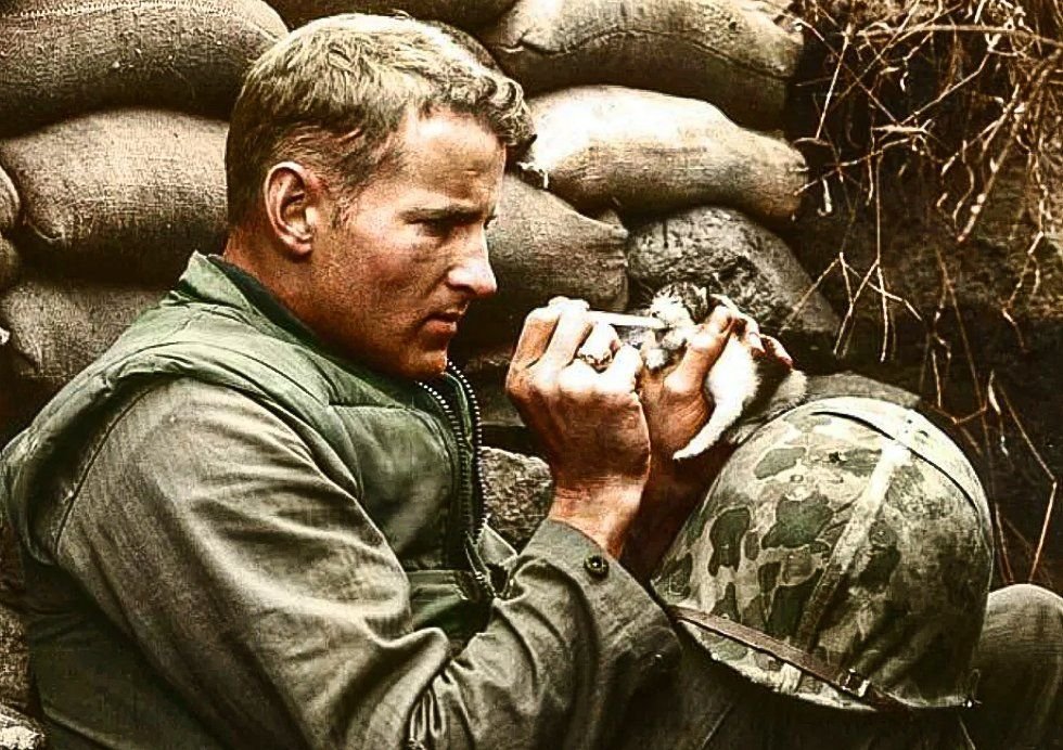 ефрейтор альфред лисков. как сложилась судьба солдата. как сложилась судьба солдата. владимир вяткин фото солдат владимир кусеров. александр лымарев солдаты 1 сезон.