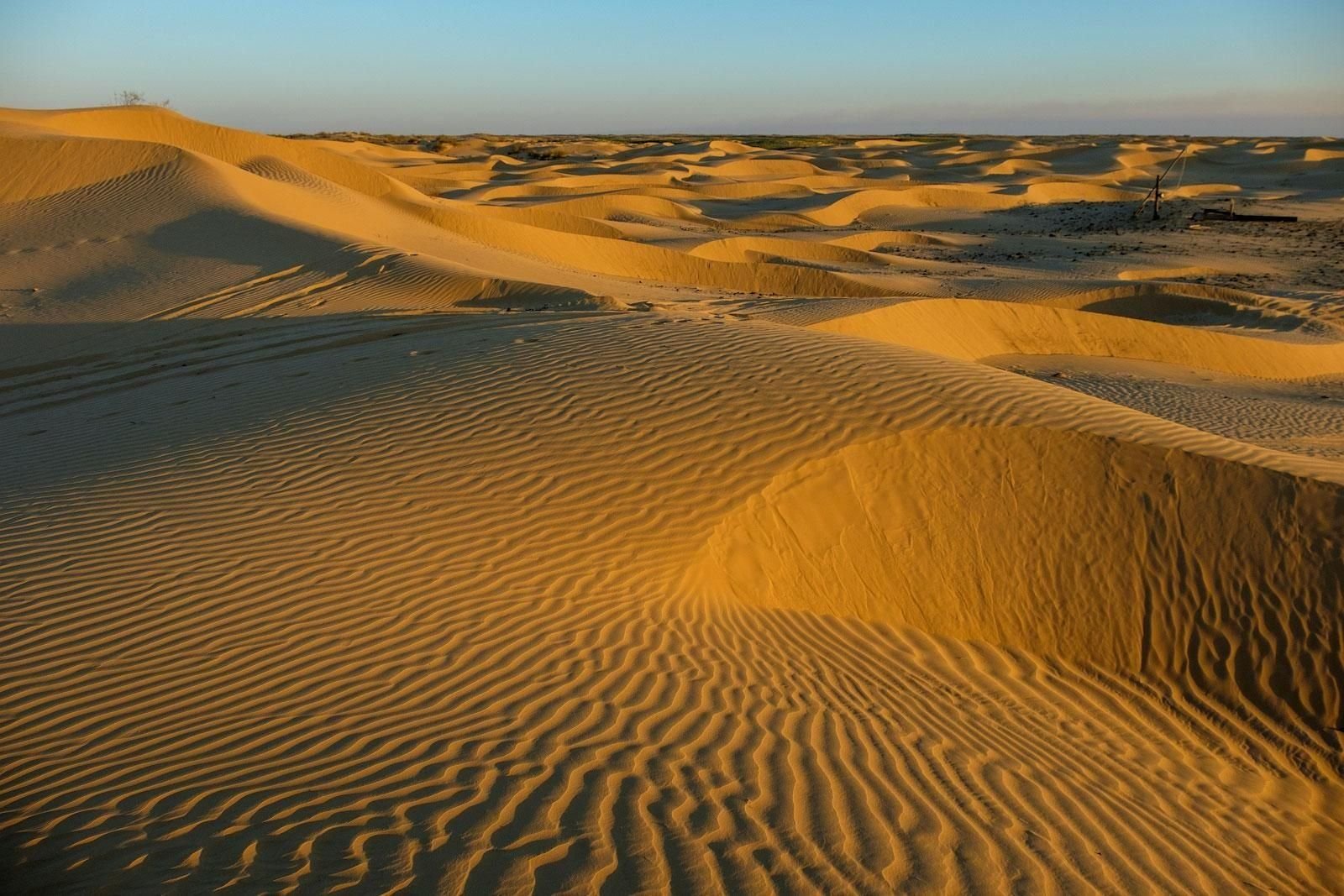 Desert на русском. Пустыня Арчединско-Донские Пески. Арчединские Пески Волгоградская область. Пески Мохаве. Арчединско-Донские Пески Фроловский район.