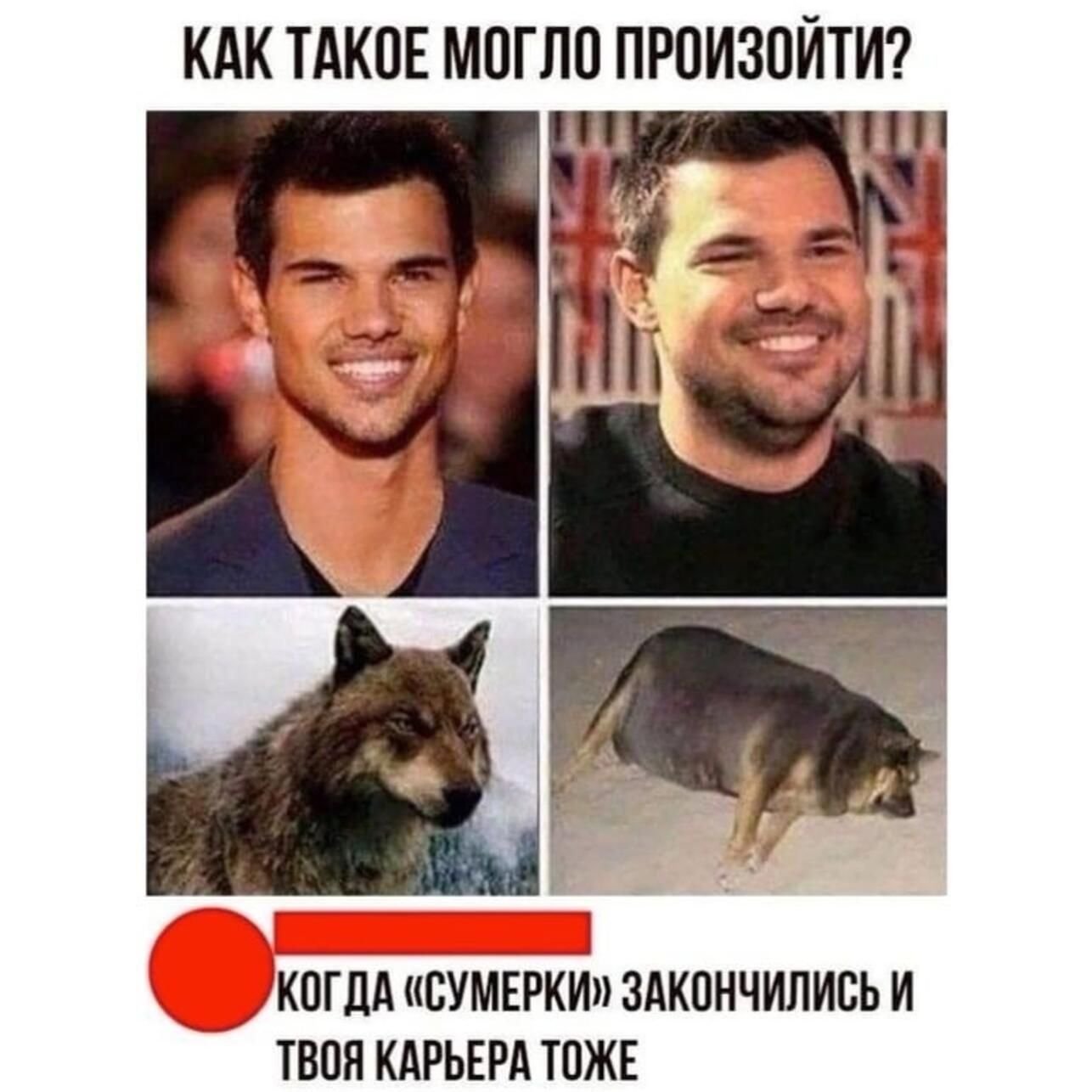 Джейкоб из сумерек Мем