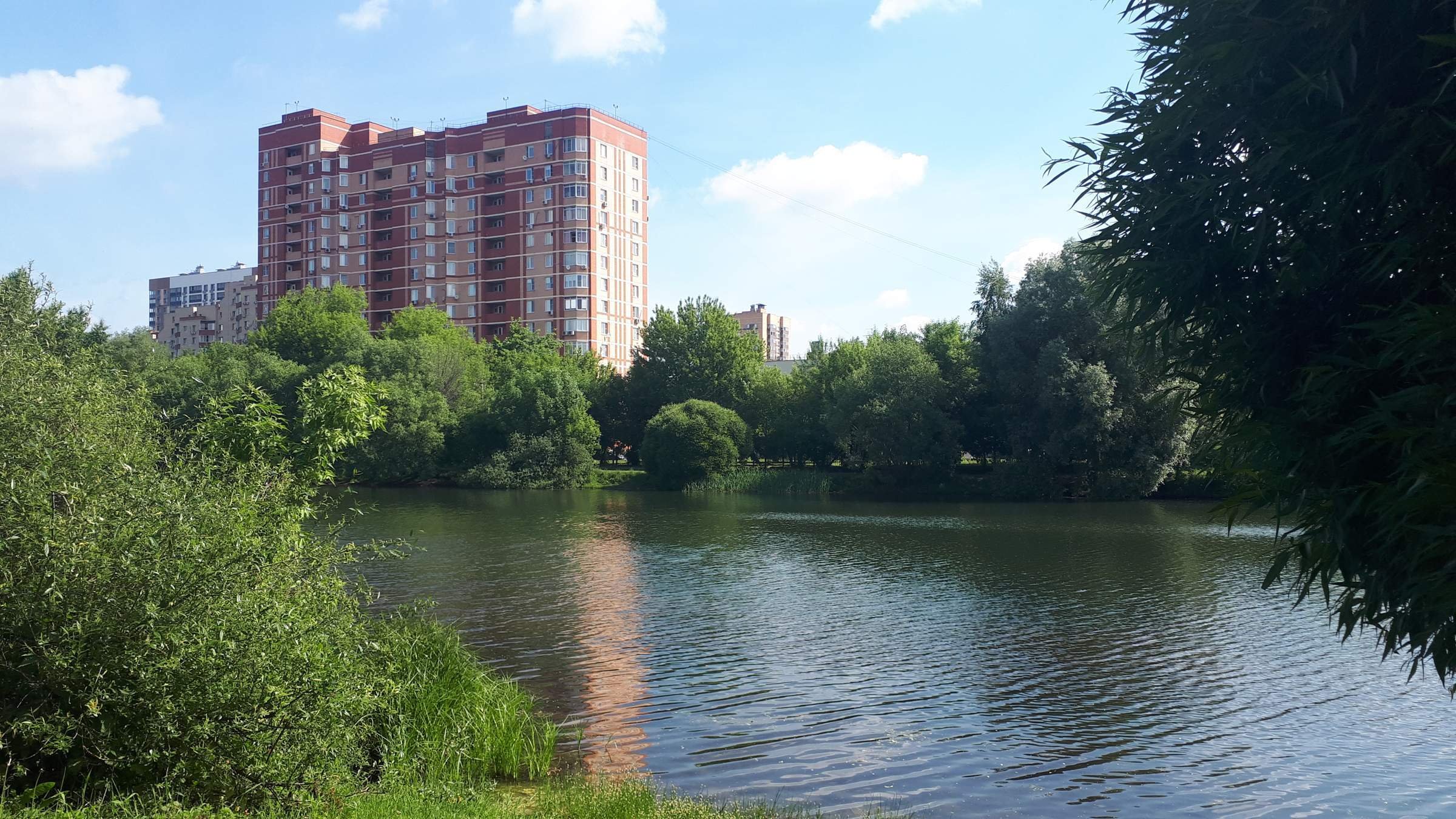 наташинский парк в люберцах