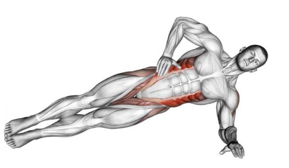 Статическое упражнение на мышцы живота и спины. Боковая планка мышцы. Боковая планка группа мышц. Боковая планка биомеханика. Планка анатомия упражнения.