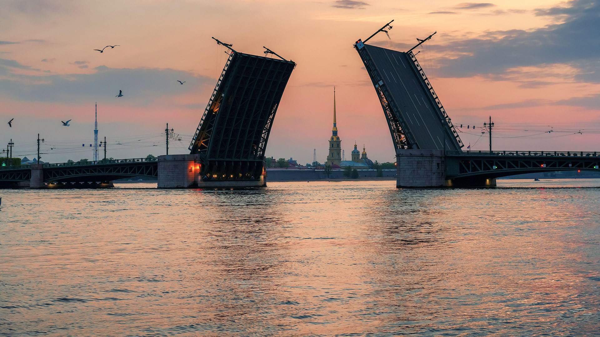 Белые ночи санкт. Река Нева Дворцовый мост. Белые ночи Санкт-Петербург. Белые ночи в Санкт-Петербурге 2021. Пик белых ночей в Санкт-Петербурге.