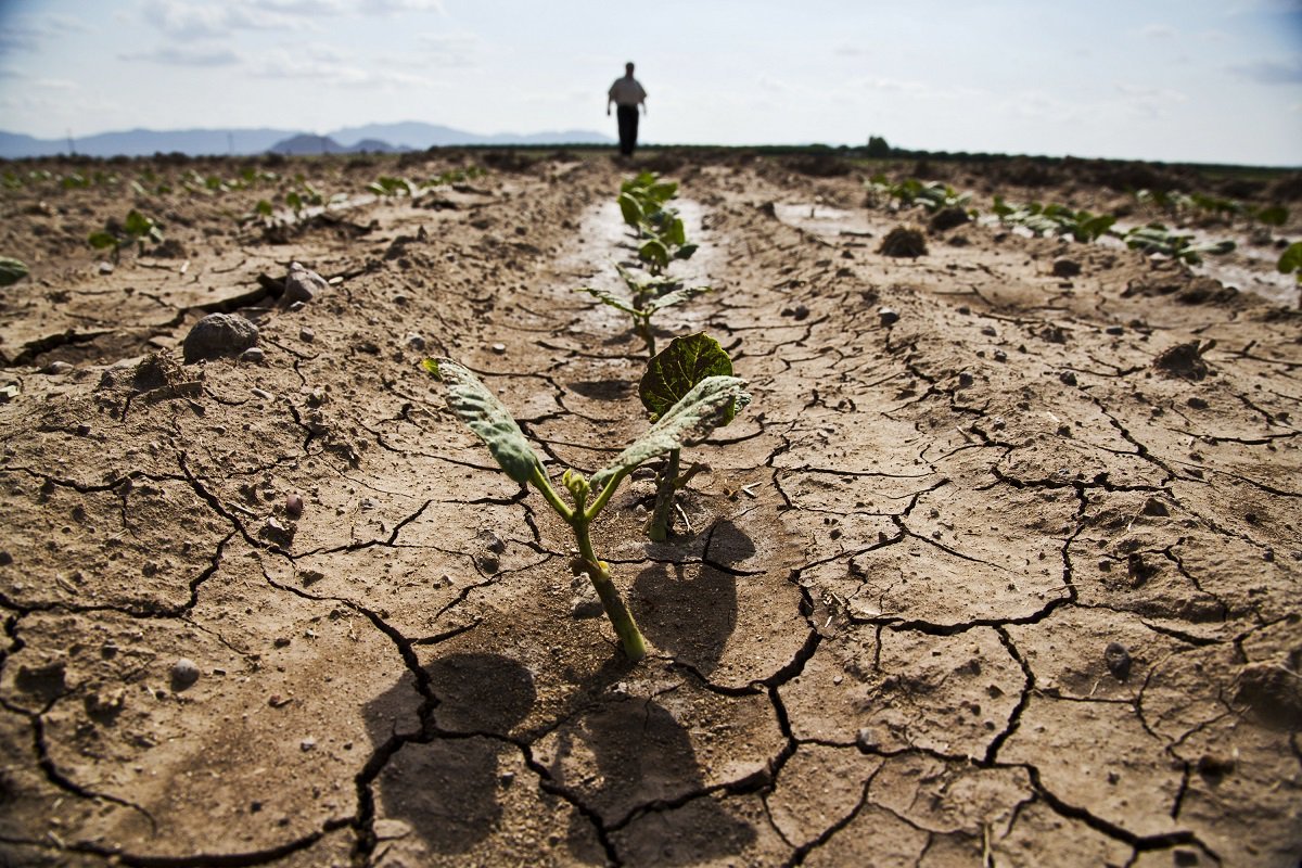 Земля потерпит. Опустынивание почв в России. Истощение почвы. Засуха. Засуха в сельском хозяйстве.