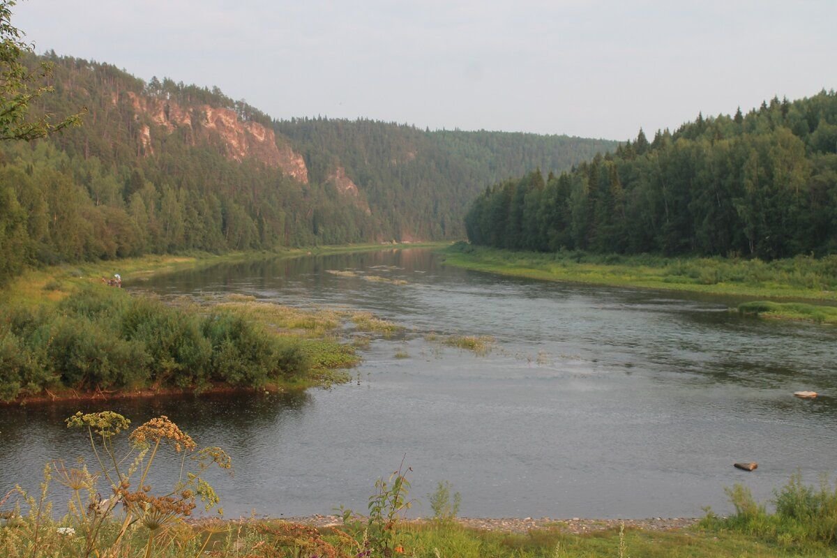 Какая рыба водится в реке чусовая свердловская область фото