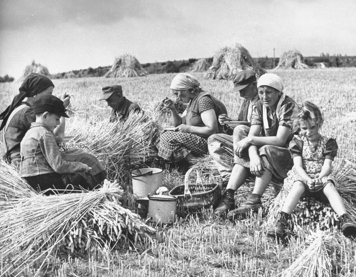 Аграрный век. Сельское хозяйство Германия 19 век. Крестьянское хозяйство 19 века. Сельское хозяйство крестьян. Сельское хозяйство БССР.