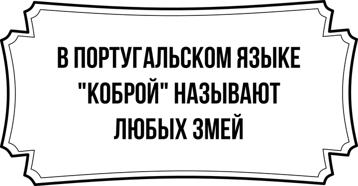 Что является правдой