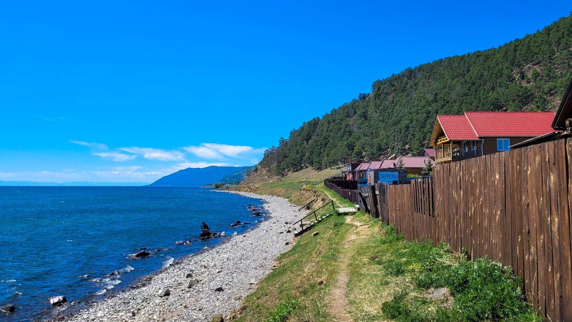 Большое голоустное байкал фото