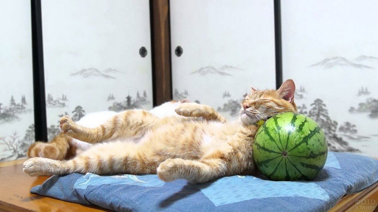 Картинка наконец отдых