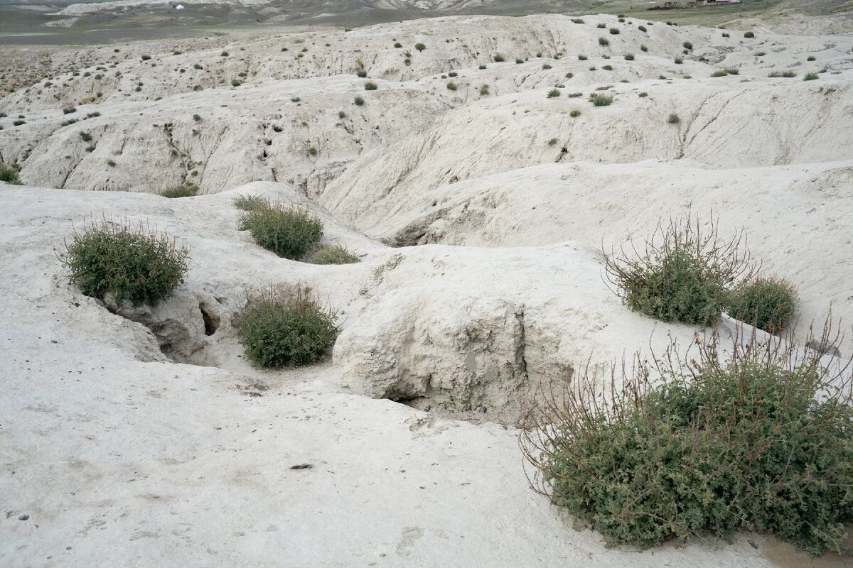 Луна алтайский край