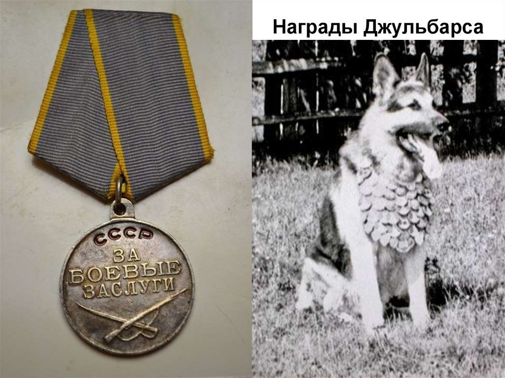 Джульбарс фото собаки настоящей