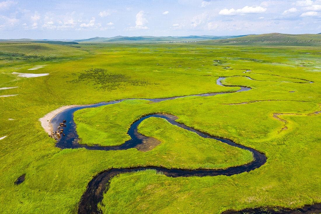 Фото даурского заповедника