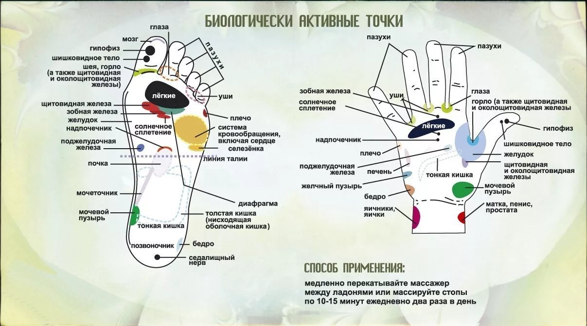 Точки на теле отвечающие за органы фото с надписями