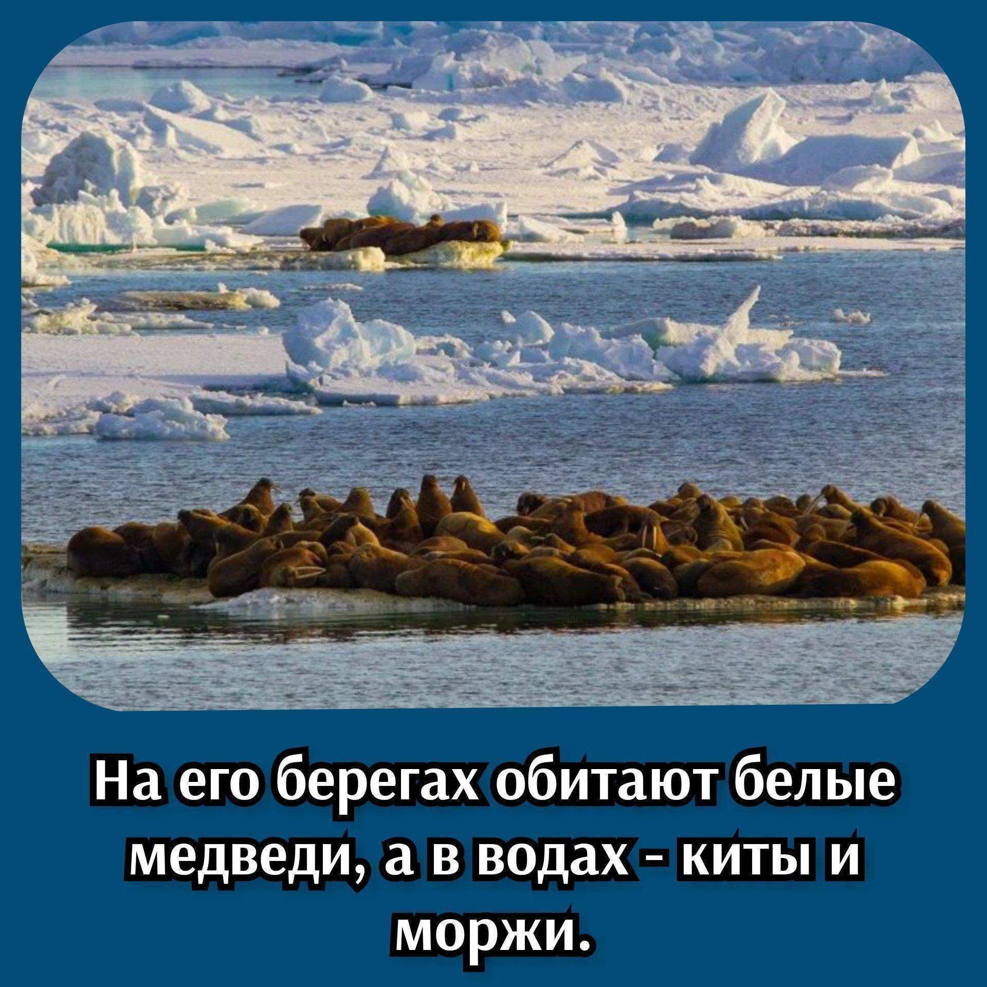 интересные факты о море