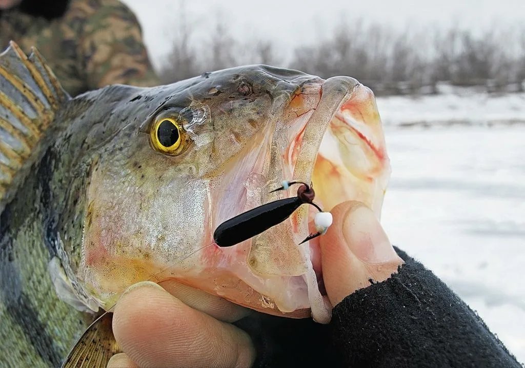 Ловля рыбы мормышкой