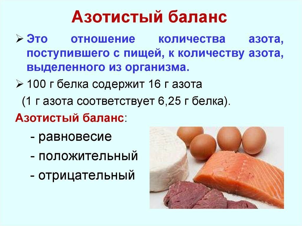 Азот белки. Азотистый баланс. Баланс азота в организме. Азот в продуктах. Пищевые источники азота.