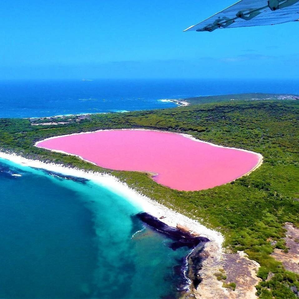 Озеро хиллер австралия. Розовое озеро Хиллер Австралия. Озеро Хиллер (остров Миддл). Озеро Хильер в Австралии. Озеро Хиллер.