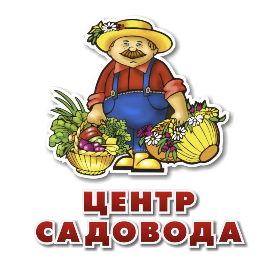 Сайт магазина садовод