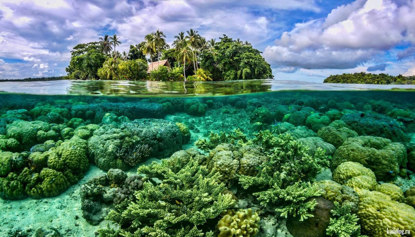 Южная часть тихого океана острова. Остров Палау Микронезия. Коралловые острова Микронезии. Коралловые острова Палау. Остров Адамс Океания.
