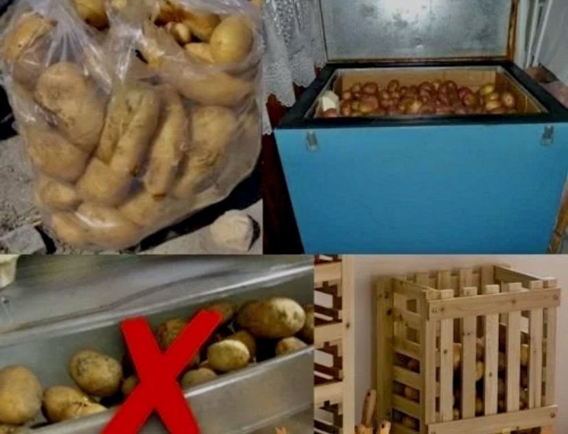 хранят ли картофель в холодильнике. хранят ли картофель в холодильнике. хранят ли картофель в холодильнике. холодильник для хранения картофеля. хранение очищенного картофеля в воде.