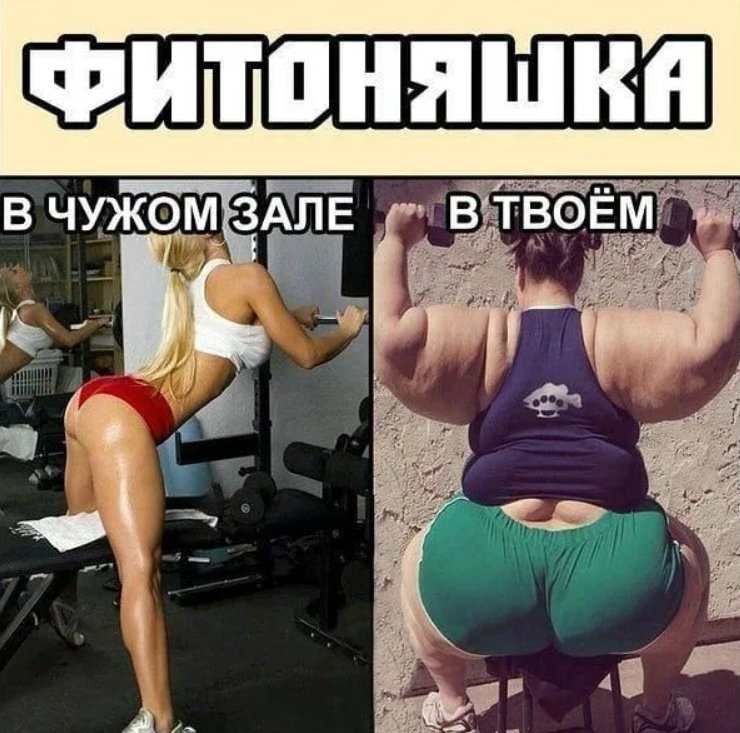 Тренировка смешные картинки