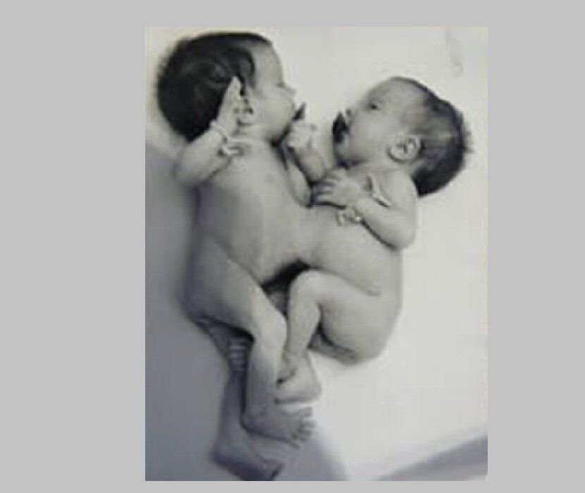 Не совсем близнецы. Не совсем близнецы. Не совсем близнецы. Вообще не близнецы. Не совсем близнецы.