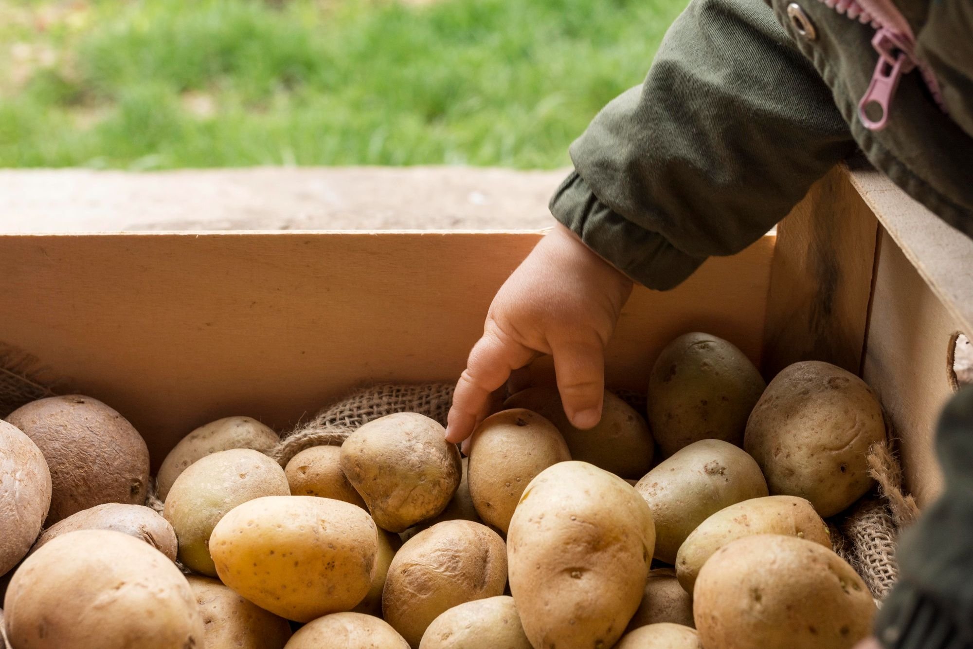 Potato сенсорный