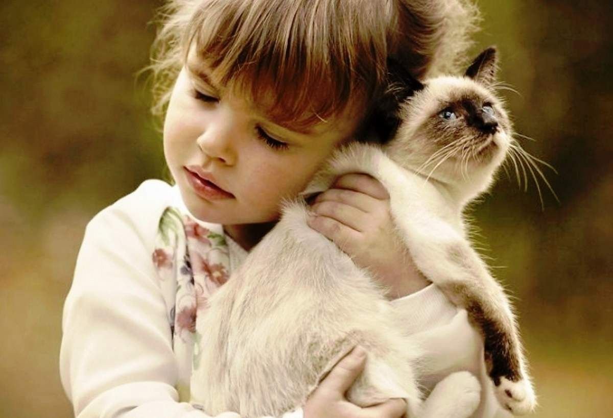 Доброта картинки. Презентация на тему доброта. Почему важно чтобы люди были добрыми. Добрым быть сложнее. Добрым человеком быть сложно.